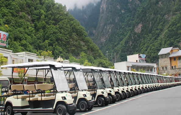 8座高爾夫球車