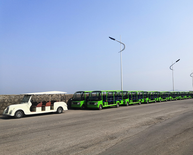 電動觀光車-成都綠欣電動車