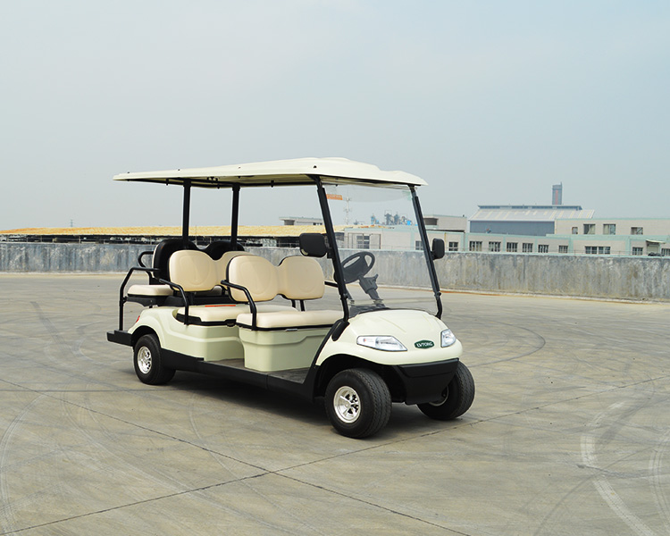 高爾夫球車-成都綠欣