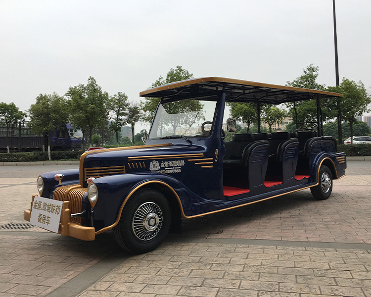 十一人座電動老爺車-看房車