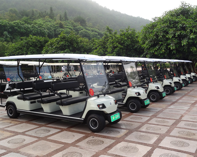 高爾夫觀光車